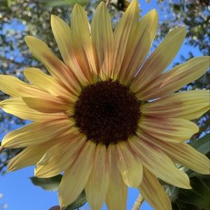 Meet your Posher, Posh